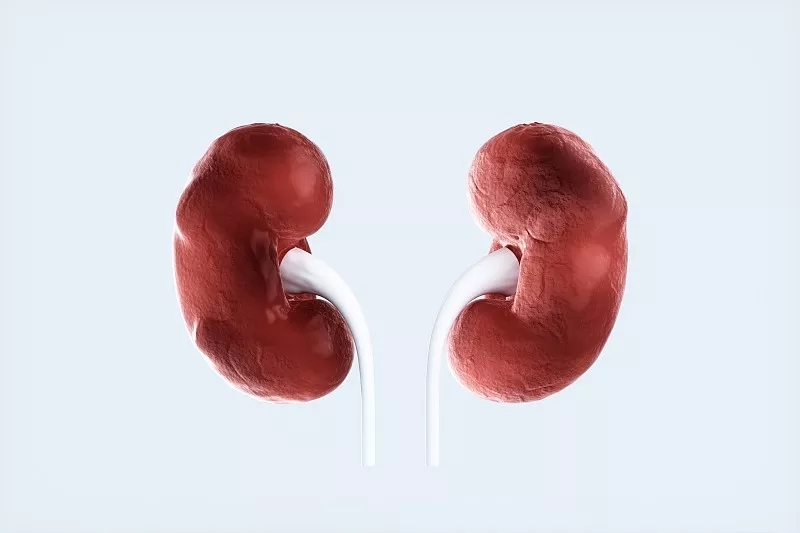 難治性狼瘡性腎炎的治療新選擇——自體造血干細胞移植 難治性狼瘡性腎炎的治療新選擇——自體造血干細胞移植