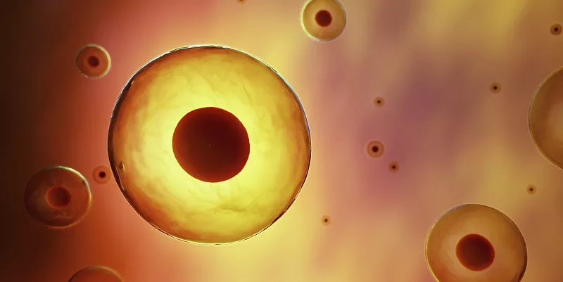 干細胞移植在治療自閉癥譜系障礙中的臨床研究