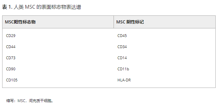 人類MSC的表面標志物表達譜