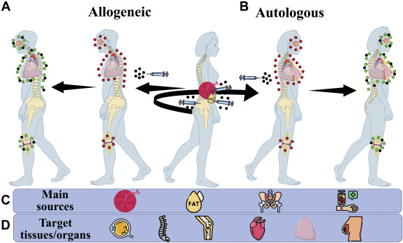 圖1:用藥用信號細胞 (MSC) 治療 圖1:用藥用信號細胞 (MSC) 治療