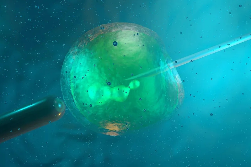 什么是誘導多能干細胞