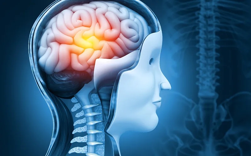 干細胞療法和大腦神經系統疾病：真相是什么？