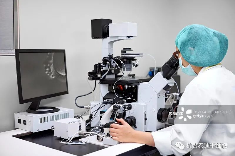 好消息,有全國政協委員建議干細胞特許經營。