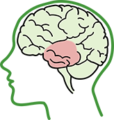 基底神經(jīng)節(jié)損傷大