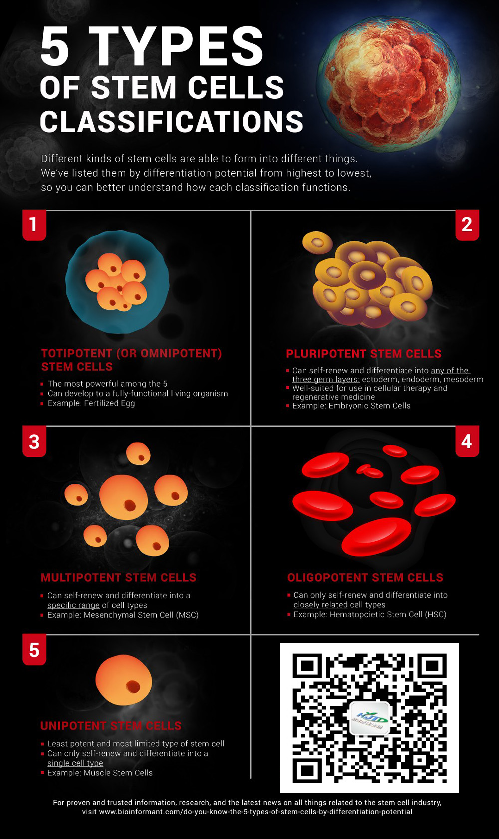 不同類型的干細(xì)胞 |  你知道5種干細(xì)胞嗎