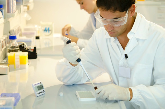 什么是干細胞？關于一系列干細胞的簡短知識