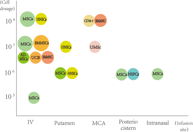 圖1：臨床試驗中細(xì)胞類型、劑量和輸注部位之間關(guān)系的可視化