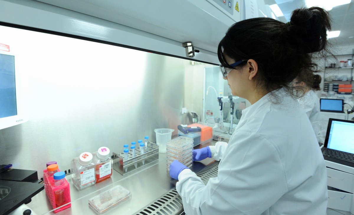 一位科學(xué)家正在研究誘導(dǎo)多能干細(xì)胞。圖片來源:Genome Research Limited 一位科學(xué)家正在研究誘導(dǎo)多能干細(xì)胞。圖片來源:Genome Research Limited