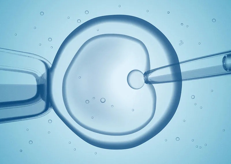 干細(xì)胞移植作為中國人群肝硬化的輔助治療策略-：有效性和安全性的薈萃分析