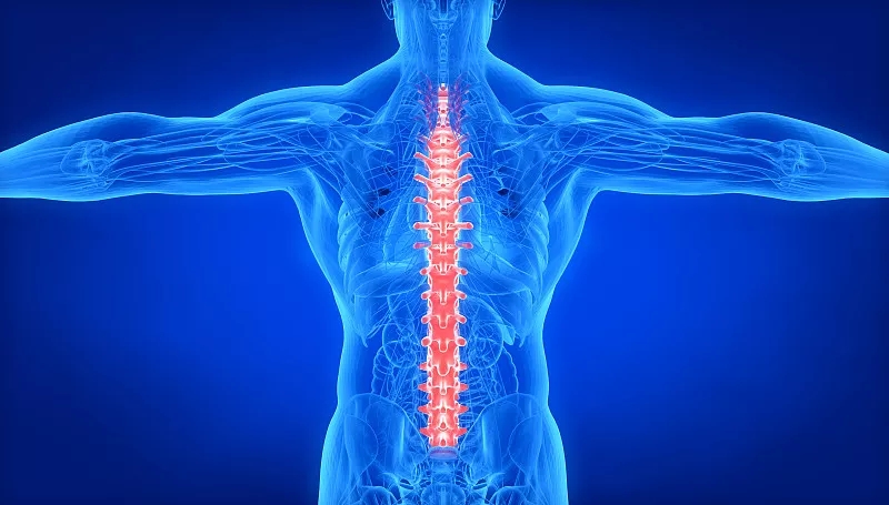 關于脊髓損傷和康復的常見問題 (FAQ) 關于脊髓損傷和康復的常見問題 (FAQ)