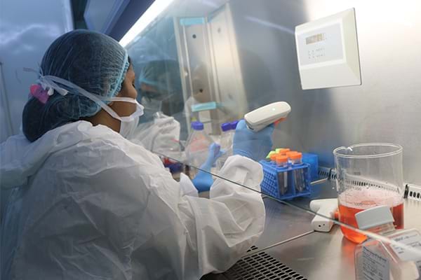 干細胞移植的具體程序 干細胞移植的具體程序