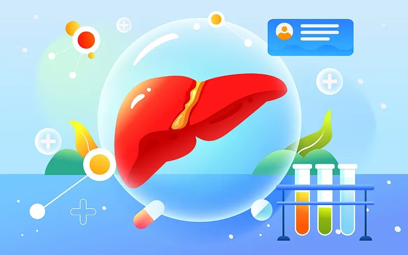 肝臟大小對我的健康有何影響？