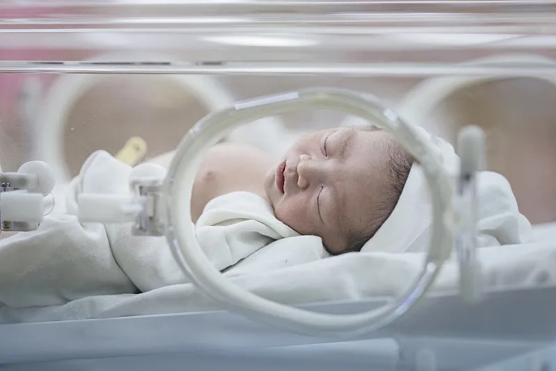 干細胞療法治療生長受限的新生兒具有神經保護作用 干細胞療法治療生長受限的新生兒具有神經保護作用