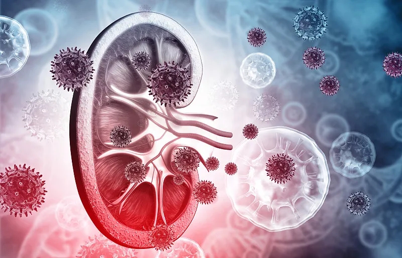 狼瘡性腎炎的體征和癥狀是什么？及其治療方法