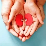 Diyabetik Nefropati Nedir Evreleri Belirtileri Tedavisi 1