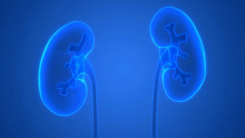 干細(xì)胞在治療腎病中取得哪些進(jìn)展？未來(lái)將面臨哪些挑戰(zhàn)？