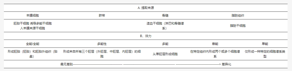 表1：根據(jù)來源和效力對干細胞進行分類