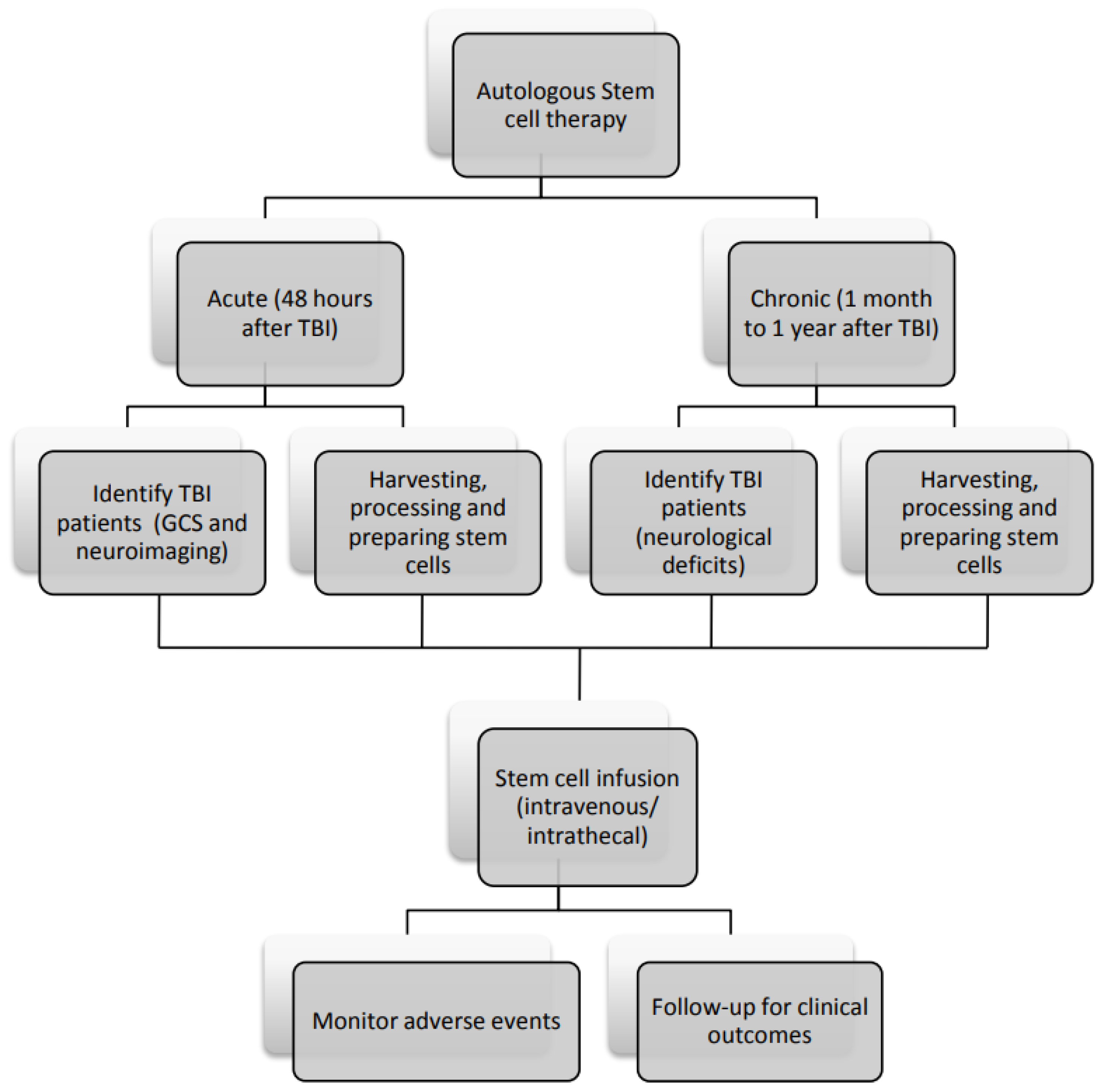 圖3：間充質(zhì)干細胞治療腦損傷患者的流程圖。
