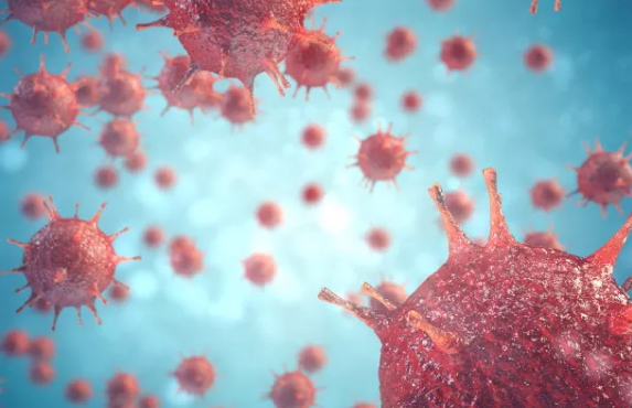 間充質干細胞在治療新冠病毒導致的中風中具有臨床價值 間充質干細胞在治療新冠病毒導致的中風中具有臨床價值