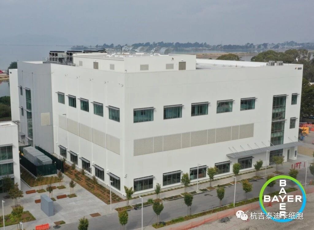 投資2.5億美元！拜耳新建細胞治療工廠，推進細胞療法生產！
