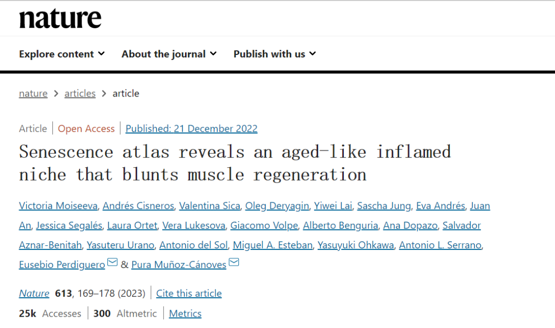 衰老圖譜揭示了一個類似衰老的發炎生態位,會阻礙肌肉再生 衰老圖譜揭示了一個類似衰老的發炎生態位,會阻礙肌肉再生