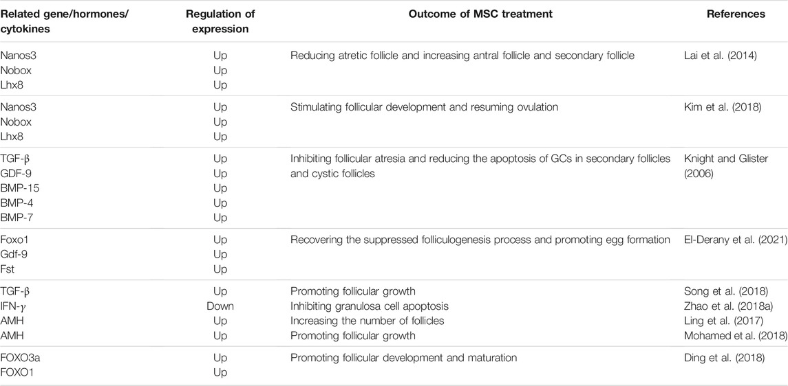 表2間充質干細胞對卵泡發育的影響