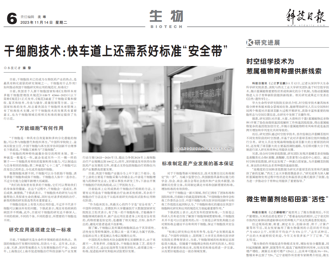 科技日?qǐng)?bào) | 干細(xì)胞技術(shù):快車(chē)道上還需系好標(biāo)準(zhǔn)“安全帶” 科技日?qǐng)?bào) | 干細(xì)胞技術(shù):快車(chē)道上還需系好標(biāo)準(zhǔn)“安全帶”
