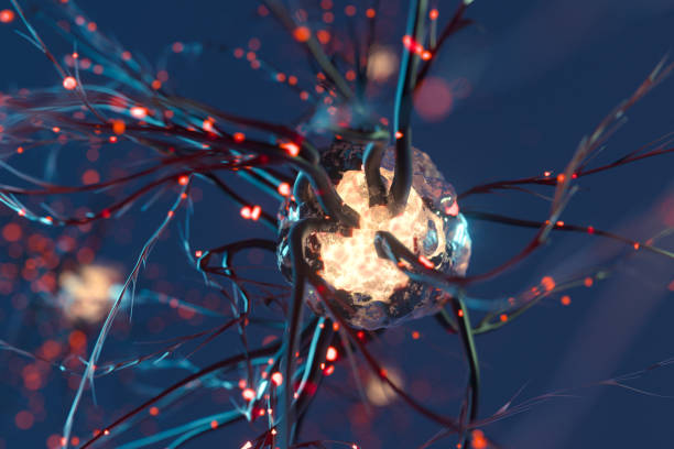 神經干細胞移植治療原發性扭轉肌張力障礙：一例報告