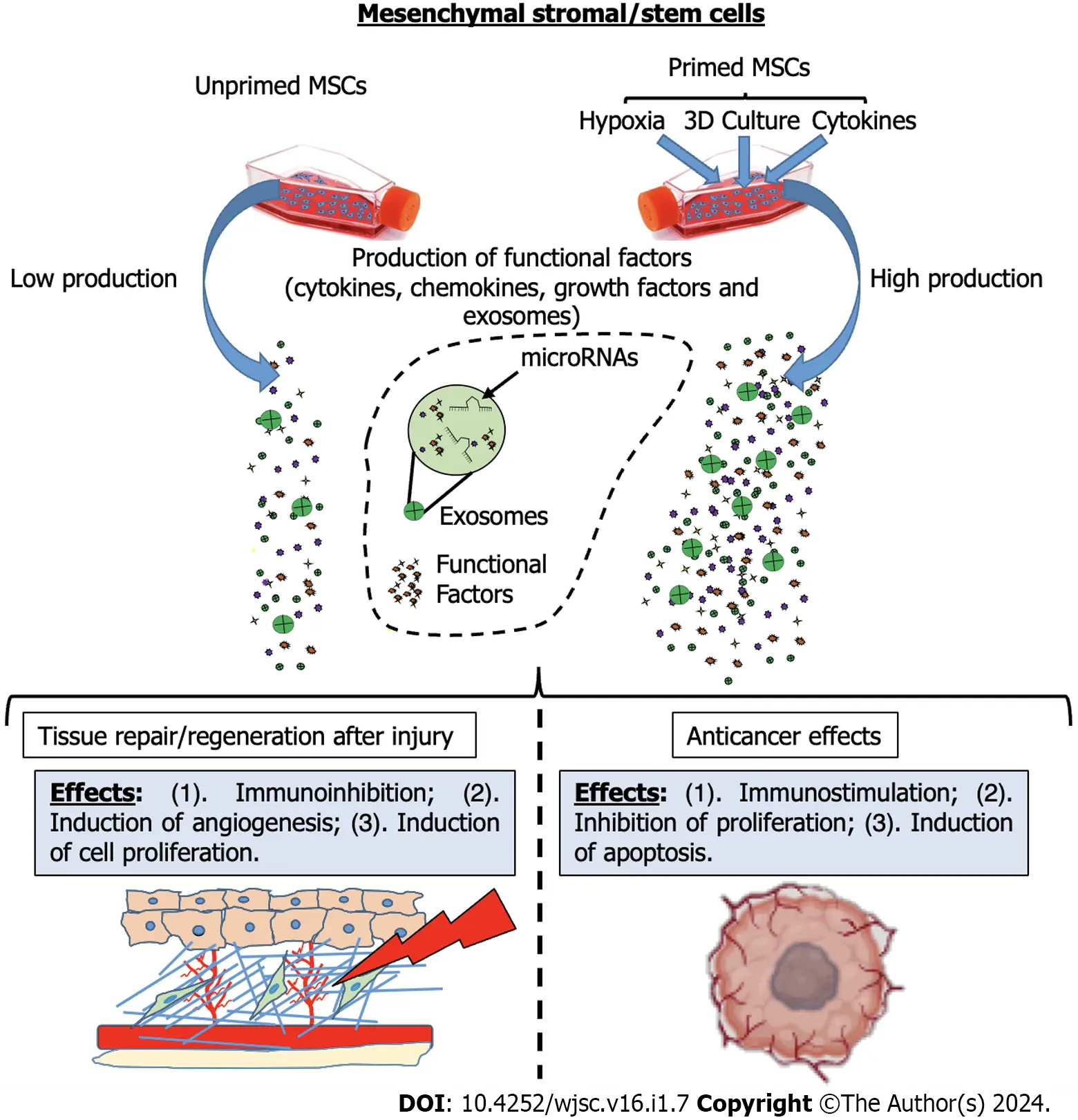 圖1：間充質(zhì)基質(zhì)/干細(xì)胞啟動后增強(qiáng)的治療效果的示意圖