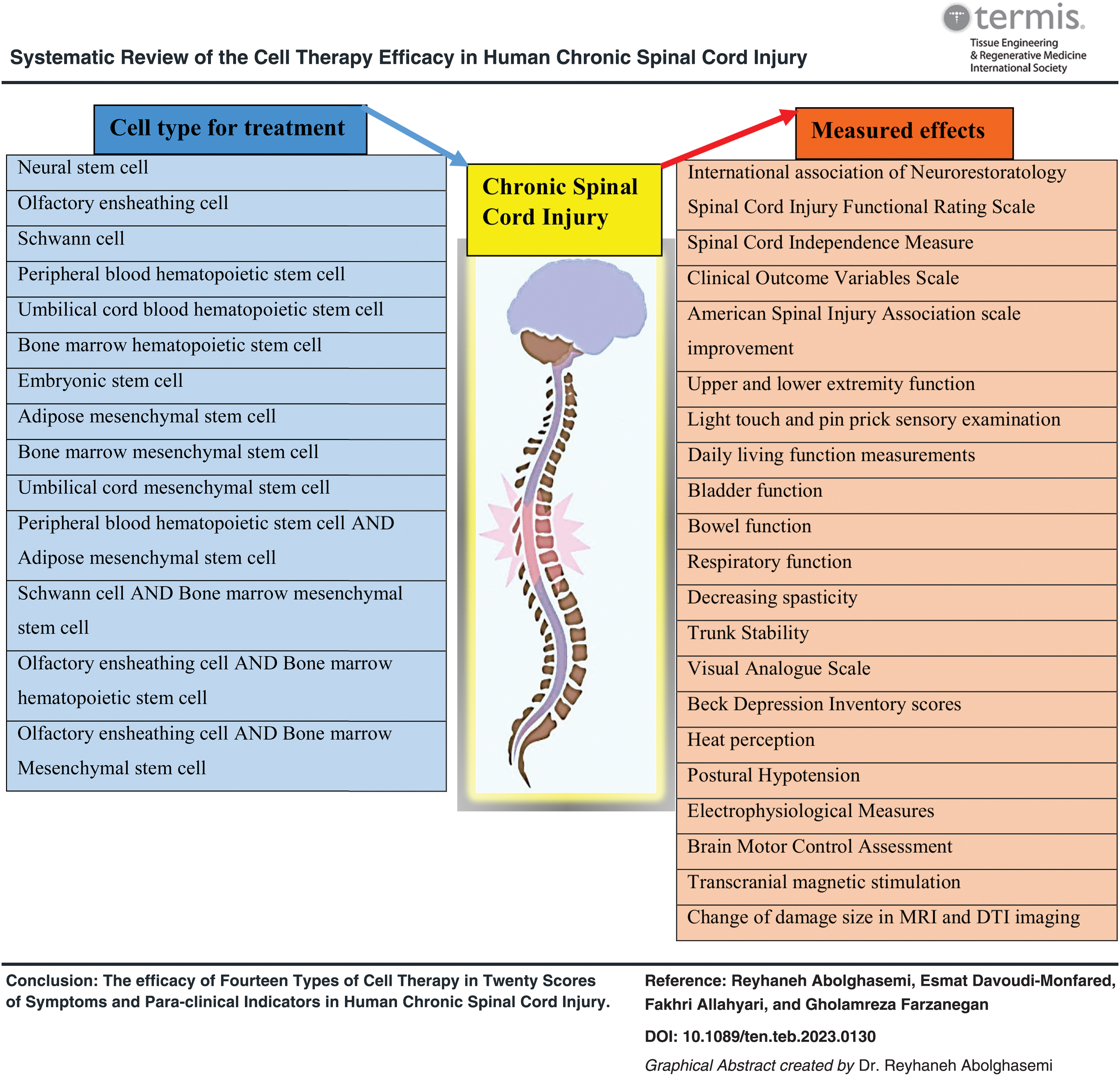 干細胞療法對人類慢性脊髓損傷療效的系統(tǒng)性綜述 干細胞療法對人類慢性脊髓損傷療效的系統(tǒng)性綜述