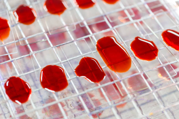 可以用臍帶血干細胞可以治療哪些疾??？