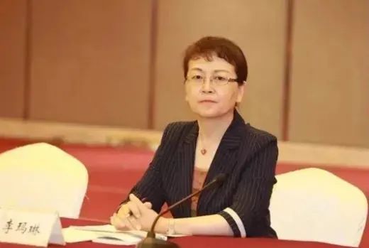 云南省副省長、民進中央常委李瑪琳