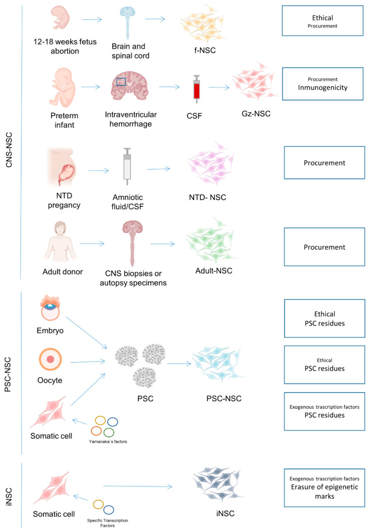 圖1：NSC生產的可用來源以及每個來源的主要關注點。