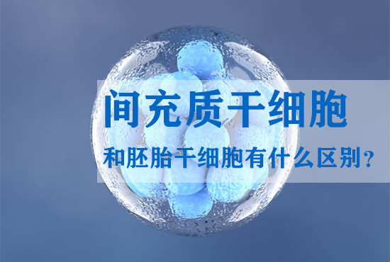 間充質(zhì)干細(xì)胞和胚胎干細(xì)胞有什么區(qū)別？