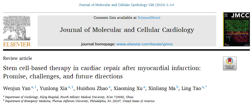 干細胞治療效果不佳?這四招能助你效果大增! 干細胞治療效果不佳?這四招能助你效果大增!