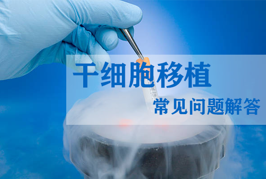 干細胞移植常見問題解答