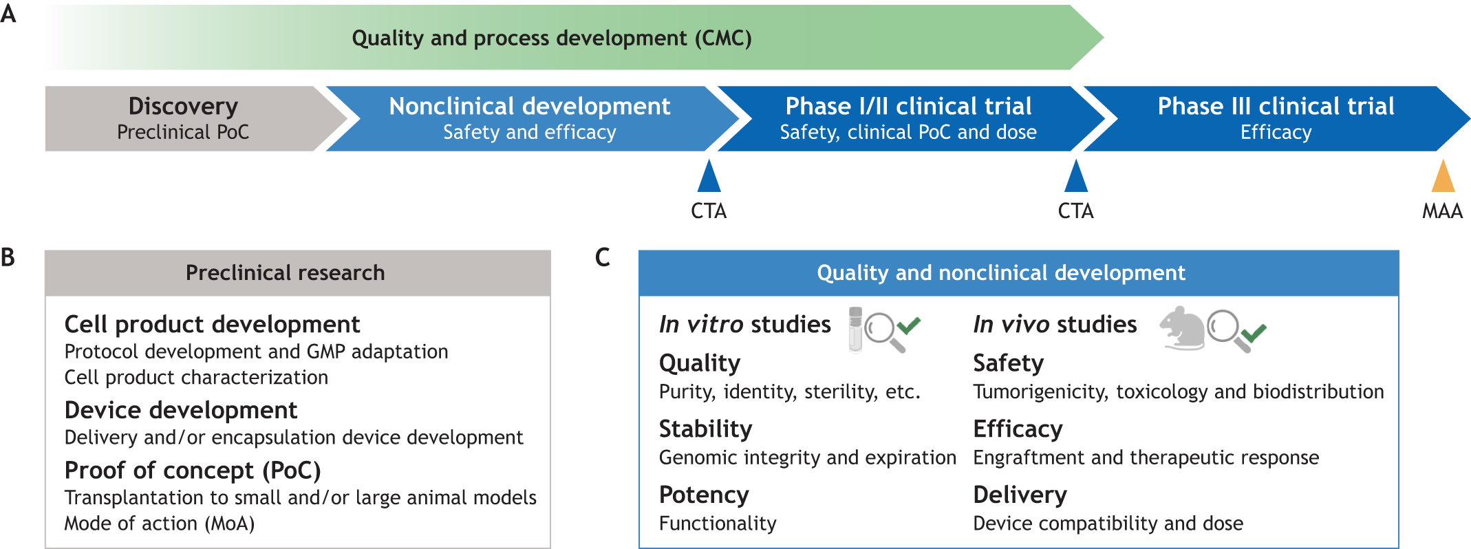 圖1：將細胞療法應用于臨床的步驟。