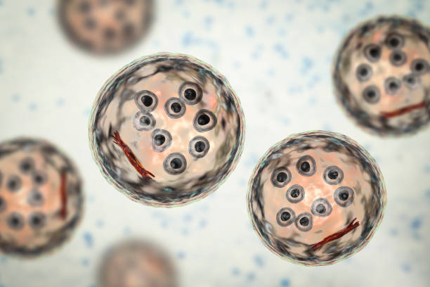 誘導多能干細胞衍生的細胞療法進行人體試驗的研究 誘導多能干細胞衍生的細胞療法進行人體試驗的研究