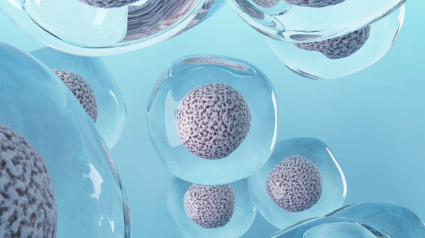 羊膜干細(xì)胞療法有效嗎? 羊膜干細(xì)胞療法有效嗎?