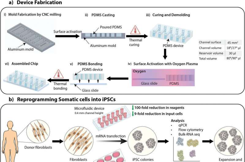 新設備改善了干細胞的生成，為阿爾茨海默氏癥細胞療法提供了機會