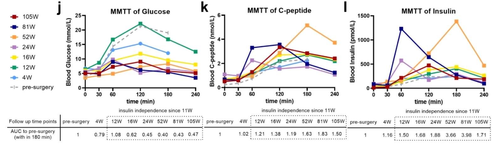 來自 MMTT 測定的血清空腹和進餐刺激的循環葡萄糖、C 肽和胰島素水平