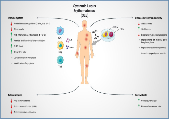 圖1:SLE患者的疾病發(fā)病機制、嚴(yán)重程度和活動性。 圖1:SLE患者的疾病發(fā)病機制、嚴(yán)重程度和活動性。