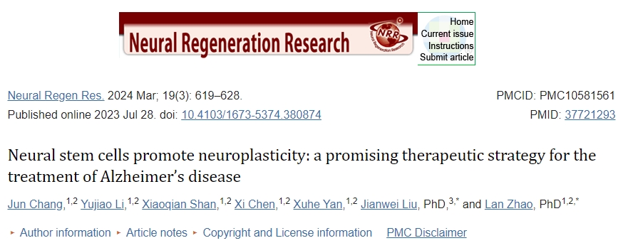 神經干細胞促進神經可塑性：一種治療阿爾茨海默病的有前途的治療策略