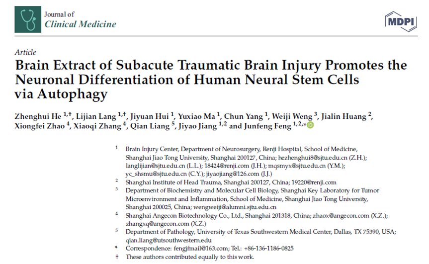亞急性創傷性腦損傷腦提取物通過自噬促進人類神經干細胞的神經元分化