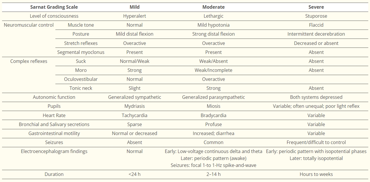 表格1：Sarnat分類。