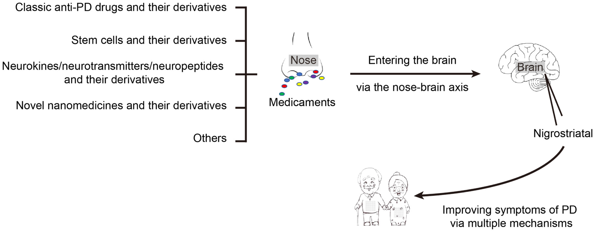 圖1：鼻內治療：帕金森?。≒D）的有希望的選擇