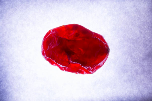 什么是血腦屏障？間充質(zhì)干細(xì)胞是否具備穿過血腦屏障的能力？