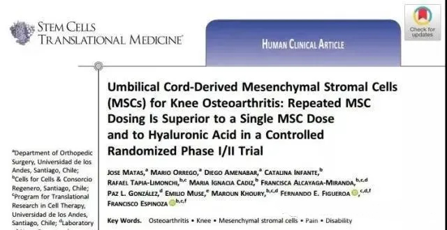 臍帶間充質基質細胞 (MSC) 治療膝骨關節炎:在一項隨機對照 I/II 期試驗中,重復 MsC 給藥優于單次 MsC 給藥和透明質酸 臍帶間充質基質細胞 (MSC) 治療膝骨關節炎:在一項隨機對照 I/II 期試驗中,重復 MsC 給藥優于單次 MsC 給藥和透明質酸