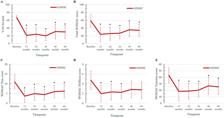 與對照組患者相比,在注射后6個月直至隨訪結束時,經過間充質干細胞臨床治療的膝骨關節炎患者膝骨關節疼痛程度更輕且膝骨關節功能狀態更好。 與對照組患者相比,在注射后6個月直至隨訪結束時,經過間充質干細胞臨床治療的膝骨關節炎患者膝骨關節疼痛程度更輕且膝骨關節功能狀態更好。