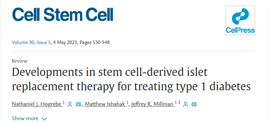 干細胞來源的胰島替代療法治療 1 型糖尿病的進展